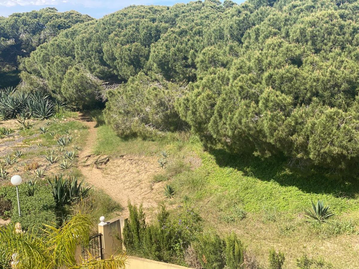 Casa De La Duna Costa Blanca La Mata  Esterno foto
